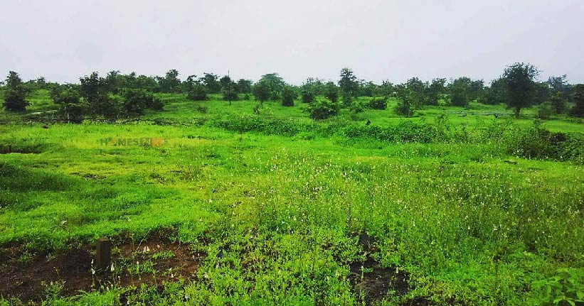 Green Bricks Rudra Hills Cover Image